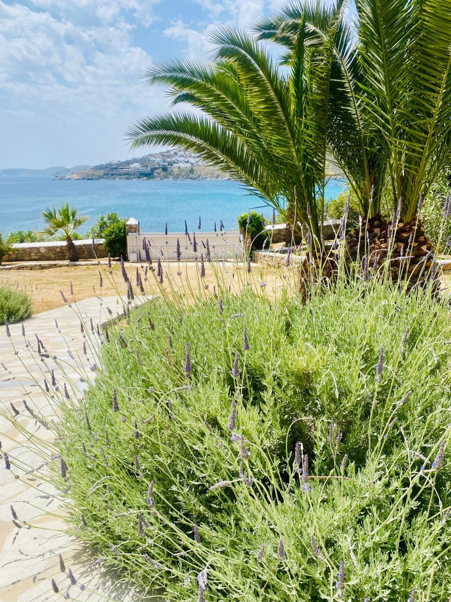 Only Yours , Mykonos Paraga  Exterior foto